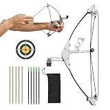 Runzkzy Mini Archery Bow Set Mini Compound Bows for Adults Compound Hunting Bow for Target Practice