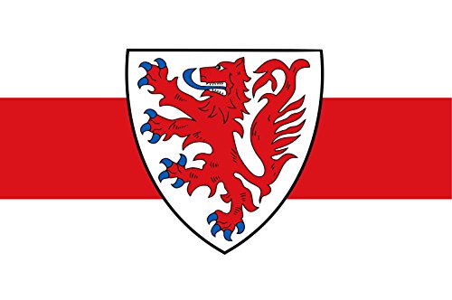 Drapeau large Naaldwijk pour remplacer un pavillon usé par le vent - 2