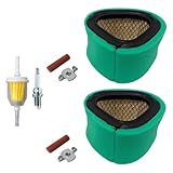 2PK Air Filter and Tune Up Kit for John Deere Tractors GT225 LTR155 LX255 Fits GY20574