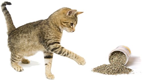 Cat Crack Catnip, Premium Blend Safe for Cats, Infused with Maximum Potency Your Kitty is Sure to Go Crazy for (10 Cups Bulk)