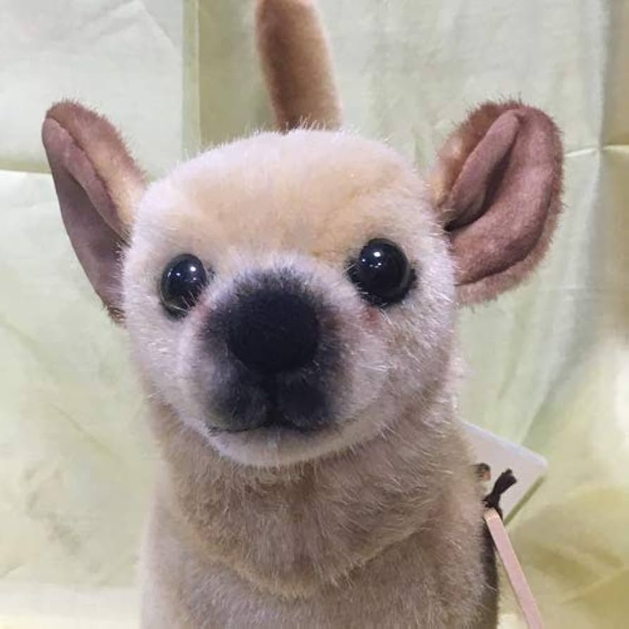 Amazon.co.jp: ケーセン社 チワワ koesen CHIHUAHUA, : おもちゃ