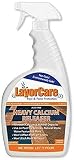 LayorCare Heavy Calcium Releaser - Removes Calcium Build Up on Pool Tile, Stone, Decks - 32 Fl Oz
