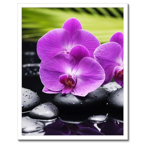 Poster Orchidée sur pierres cadre noir pour habiller mur vide salon