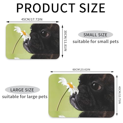 Granatapfelfrucht, schöne Granatapfelkerne, Fruchtmuster,wasserdichte Futtermatte für Haustiere, Tischsets für Katzen und Hunde für Futter und Wasser, Futtermatten aus PU-Leder,40x60cm