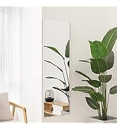 brisafe 割れない軽量ミラー 全身鏡 姿見鏡 大型鏡 80X160CM brisafe 割れない鏡 割れないミラー 軽量鏡 大型ミラー 全身鏡 姿見