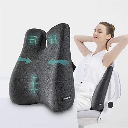 10 Best Beach Chair for Bad Backs: Comfort and Support Guide 1 seeknow Lumbar Support Pillow for Office Chair Cushion for Pain Relief Memory Foam Support Office Chair Ergonomic Pillow Lumbar Chushion W/Strap for Car, Computer Gaming Chair, Recliner, Couch