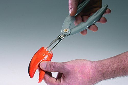 Pinza Per Zollette Westmark - In Acciaio Inox, Lunghezza 12.5 Cm, Con Estremità Dentellata - Foto 3