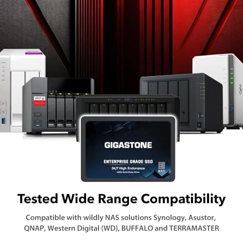 Gigastone Enterprise - SSD NAS de 512 GB (paquete de 2) 24/7, servidor empresarial de alta resistencia Homelab, almacenamiento en red, caché RAID SATA III de 2.5 pulgadas, unidad interna de estado