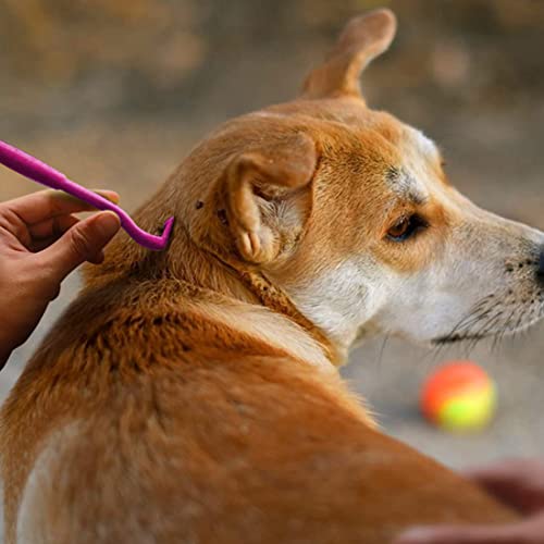 Quesuc Zeckenhaken | ohne Zerquetschungsgefahr | 3 Größen für alle Zecken | Anti Zeckenhebel Schutz Hund Katze Pferd Alternative Zecken Mittel Karte Pinzette Halsband Tablette Zange Entferner