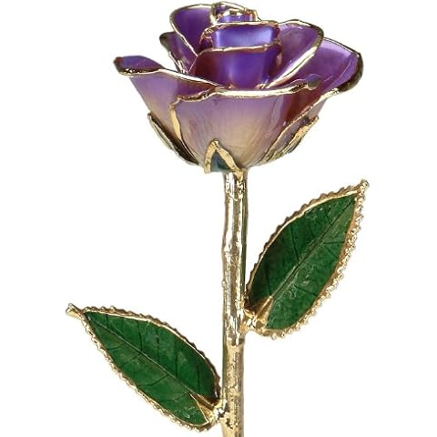 Allmygold Two-Tone Purple Lacquered 24k Gold Dipped Long Stem Genuine Rose Cover