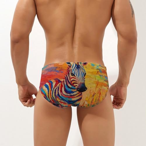 Rainbow Striped Zebras Mens Swim Briefs Bikini Sexy Low Rise Trunks Swimsuit Bathing Suit Beach2