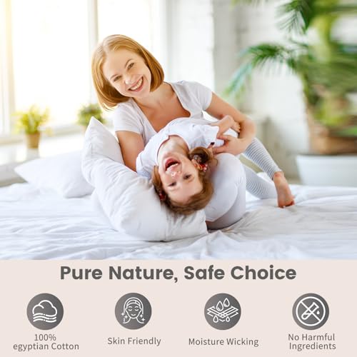 Bedlifes 1000 Thread Count 100% Egyptian Cotton Queen Size Sheets Set - Sateen Soft Silky Breathable Luxury Cooling 4 Pieces (White)