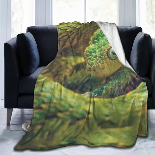  ঒ ѕz Aj Ђ| y  uPbg tl 􂦂 ÓdCh~ g _炩 Ȃ߂炩ȔG lGKp 킢 ObY LN^[ 76cm×102cm