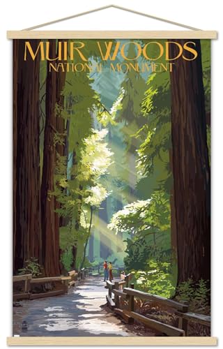 Poster Muir Woods et suspension en hêtre pour s'évader en Californie depuis chez soi