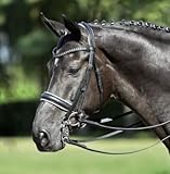 Busse