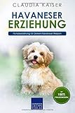Havaneser Erziehung: Hundeerziehung für Deinen Havaneser Welpen