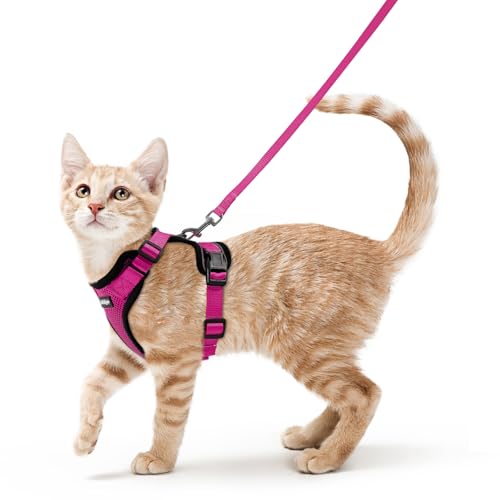 Image of rabbitgoo Cat Harness and Leash Set, Escape Proof Vest, Rose Red | Soft Breathable Mesh, Easy Adjustable Fit, Snap Buckles, Sturdy Clip, Reflective Strips, for Average Cats Walks, S