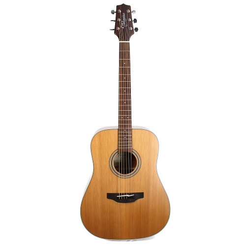 Takamine 6 String Acoustic Guitar, Right Handed, Natural (GD20-NS)