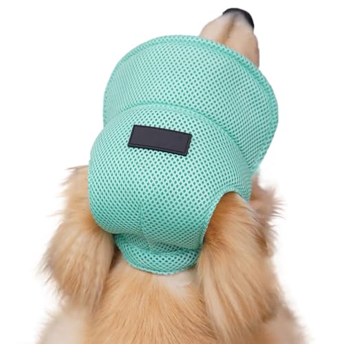 UOSIA Sombreros para Cachorros para Perros pequeños, Sombrero con Visera para el Sol, Ajustable, cómodo, Sombreros para Gatitos con Orificios para Las Orejas para Perros Extra pequeños (Verde, XS)