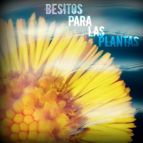 Besitos para las plantas Podcast Por Laisabisol arte de portada