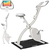 【Amazon.co.jp 限定】 アルインコ(ALINCO) フィットネスバイク エアロバイク トレーニングバイク マットセット 静音 8段階負荷 折りたたみ コンパクト収納 軽量 タブレットトレー付 小物ホルダー 組立簡単