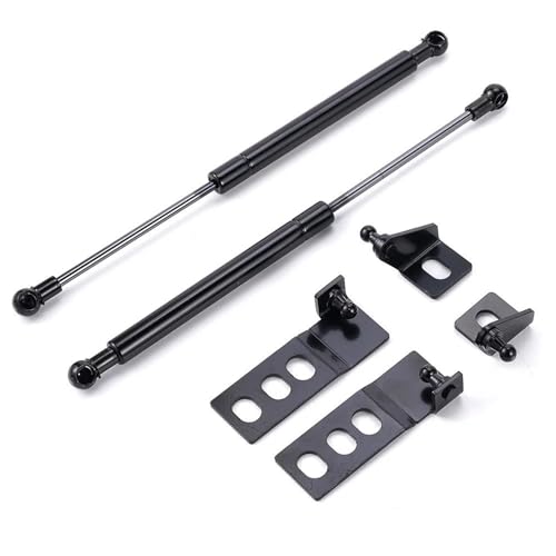 Vérins à gaz de capot pour Toyota RAV4 2019-2020 paires de supports de levage robustes