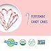 YumEarth Organic Candy Canes - Individually Wrapped Full Size Peppermint Candy Canes - Allergy Friendly, Non GMO, Gluten Free, Vegan - 10 Count (Pack of 1)