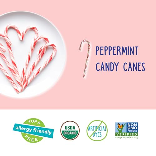 Image of YumEarth Organic Candy Canes - Individually Wrapped Full Size Peppermint Candy Canes - Allergy Friendly, Non GMO, Gluten Free, Vegan, Dye Free Christmas Candy - 10 Count (Pack of 1)