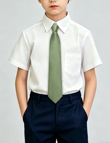 Image of Hi-Tie Pretied Boys Ties Solid Color Kids Adjustable Necktie Lapel Pin Clip Set Age 8-12 Wedding School Graduation