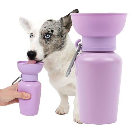 Image of Springland 20oz Portable Dog Water Bottle with Collapsible Bowl, Lilac