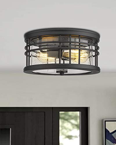 Image of zeyu 2-Light Flush Mount Ceiling Light for Hallway, 12 Inch, ZW01-F BK