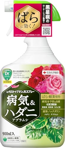 GFXgbvWRXv[ 900ml EEۍ ΂ ϗtA