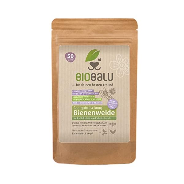 Biobalu Öko Blumenmischung Bienenweide speziell für den Halbschatten- und Schattenbereich + für bis zu 50 qm, mehrjährig…