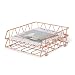 CAXXA 2 Pack Stackable File Tray Paper Letter Desk Organizer Document Files Holder Storage | for Home School Business Office, Rose Gold (Vertical Version)