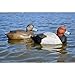 Higdon Outdoors Battleship Red Head Duck Decoys | Unsinkable with Swivel Heads & Weighted Keels | High-Contrast Visibility| Durable & Easy-Set Floating Design | Foam Filled | 6pk | 4 Drakes, 2 Hens
