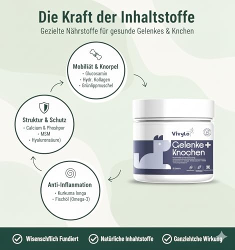 Vivylo 90 Grünlippmuschel Hundeleckerli | 270g | Gelenktabletten mit Glucosamin, Kollagen, Kurkuma, MSM für Gelenke und Knochen - Leckerlis für aktive & älternde Hunde mit Vitamin C, D3 und Zink