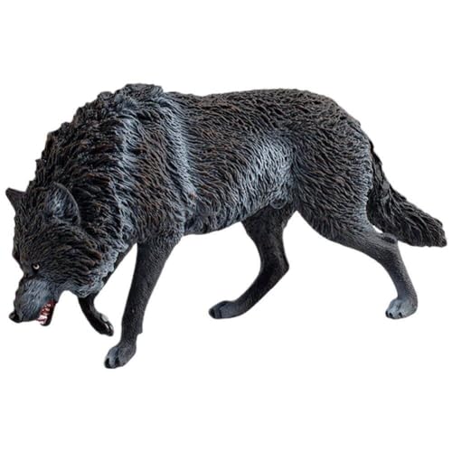 IIJ~ T tBMA 쐶 Pvc ͌^ Fm ߋ u H|i RNV av[g