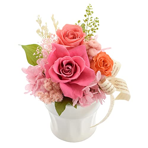 ԗR vU[uht[ pbg (C5 ~L[sN/NAP[X) Of[V AWg t[ j Mtg v[g o  a j ސEj