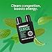 Z!NGHA Natural Aromatherapy Nasal Stick – Boost Focus & Enhance Breathing | Portable Sinus Relief & Relaxation Nasal Inhaler Stick | Intake Breathing Essential Oil Blend for Stress and Congestion