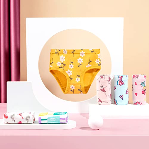 Synpos Girls Underwear 100% Cotton Underwear For Girls Breathable Toddler Girl Underwear Comfort Baby Girls Panties 6 Packs #TOP4