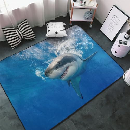 �J�[�y�b�g �j���ł���T�� �����` ���O�}�b�g ���O �O�~ �ėp �h�_�j �R�� �h�� �h�L �ӂ���Ǝ�G�� ������� �D�����t�����l�����O ���g�[�Ή� �􂦂� ����~�ߕt �l�C �v���[���g 100 × 150 cm BHT4H18