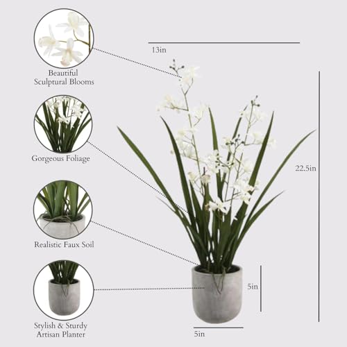 Image of CG Hunter Faux Vanda Orchid Plant, Premium Artificial Indoor Flower Display Stands 22.5 inch, Beautiful Sculptural Blooms that Lasts Forever, White Planter Pot Included