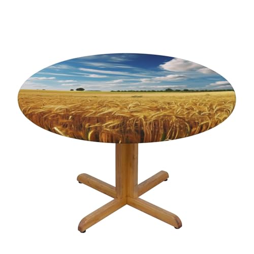 Nappe ronde imperméable élastique 120cm protège table imprimé champ de blé - 2