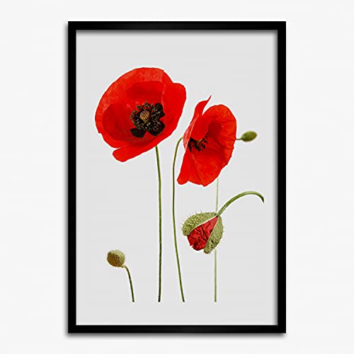 Tableau décoratif cadre en bois moderne 50x70 cm Tulup motif coquelicots