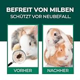 Silberkraft Milbenspray Hase Kaninchen 500ml - Effektives Anti Milben Spray für Nager - Milbenbefall behandeln bei Kaninchen Hasen Meerschweinchen