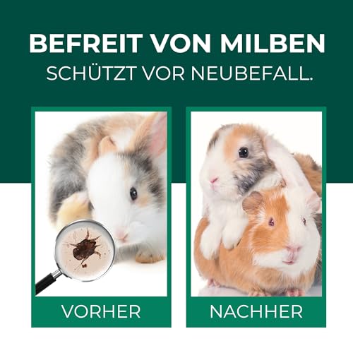 Silberkraft Milbenspray Hase Kaninchen 500ml - Effektives Anti Milben Spray für Nager - Milbenbefall behandeln bei Kaninchen Hasen Meerschweinchen
