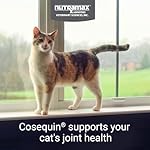 Nutramax Laboratories Cosequin Joint Health Supplement for Cats - With Glucosamine and Chondroitin, 80 Capsules - Image 2