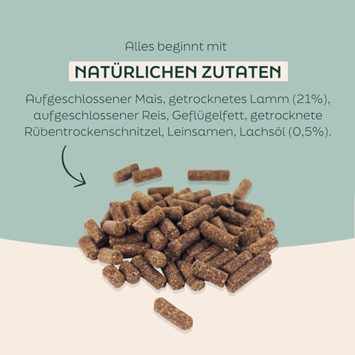 WOOOF Lamm & Reis 36kg kaltgepresstes, getreidefreies und hypoallergenes Hundefutter | Trockenfutter, leicht verdaulich, ohne Weizengluten