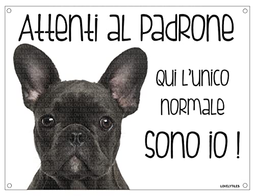 BULLDOG FRANCESE Attenti al padrone qui l'unico normale sono io! CANE CARTELLO TARGA IN METALLO (15X20)