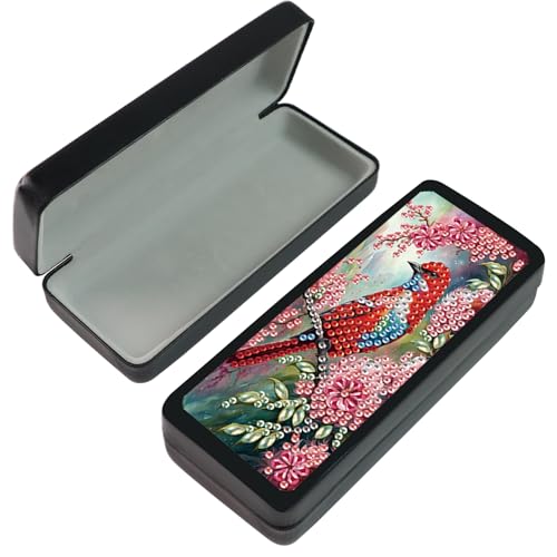 Étui à lunettes de peinture diamant 16x6,5 cm rigide et créatif pour adultes